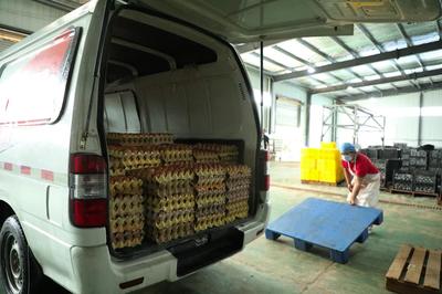 河南睢縣 培育“新農(nóng)人”，筑起“興農(nóng)路”食品銷(xiāo)售新篇章