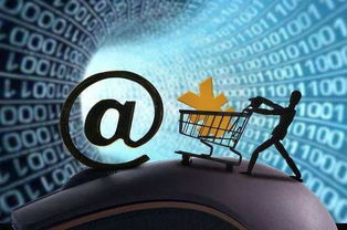 互聯(lián)網(wǎng)保險的下半場 數(shù)據(jù)服務驅(qū)動的新增長路徑